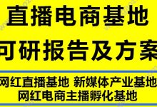 2020最新网红主播直播电商新媒体产业基地可行性研究报告文案方案