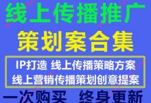 IP打造线上传播策略推广方案创意提案策划案模板案例