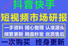 100份2020年抖音快手短视频市场研究报告数据分析