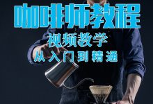 咖啡视频教程新手拉花咖啡店咖啡师学习手工拉花制作教程大全