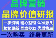 2020最新国内国际品牌营销品牌排名品牌价值品牌策略研究报告合集185份