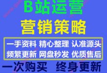 2020最新B站运营营销资料策略方案模板案例