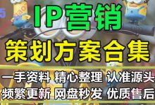 网络动漫IP红人品牌营销活动孵化策略创意传播推广方案PPT模板