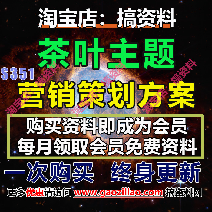 茶叶主题活动招商运营推介策划营销方案PPT完整案例