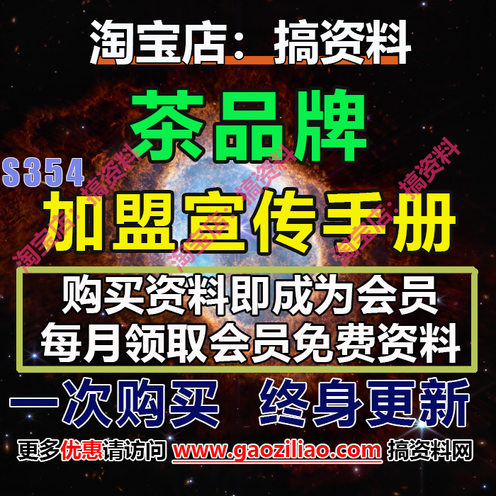 奶茶果茶潮饮时尚饮品品牌手册招商加盟手册运营指导手册案例