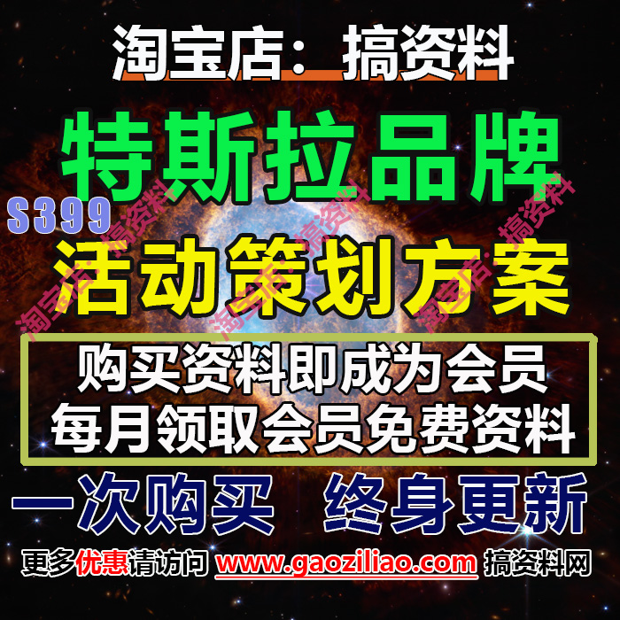 特斯拉汽车品牌主题活动策划案研究分析报告研报18份